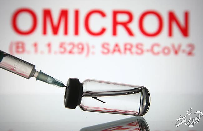 چرا برخیها هرگز به کووید مبتلا نشدند؟